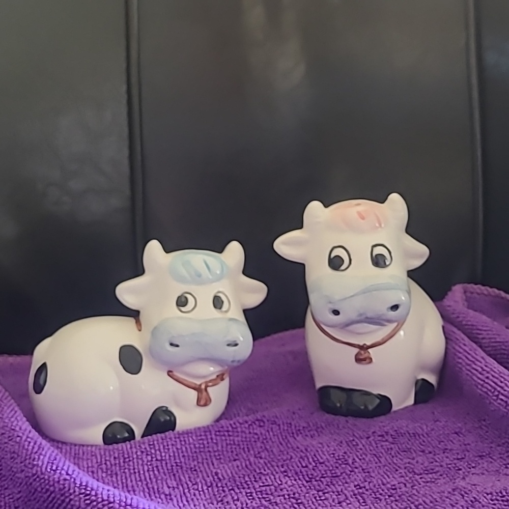 Salt and pepper shakers